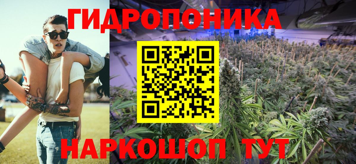 Каннабис ГИДРОПОН Сафоново